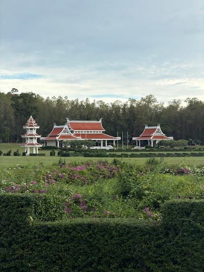 The image depicts a serene landscape at the Wat Phra That Mae Yen temple in the city of Pong, Thailand. In the foreground, a lush green lawn is adorned with vibrant pink and white bougainvillea flowers and meticulously sculpted hedges. Further back, a traditional Thai-style pagoda stands proudly to the left, while two elegant temples with orange-tiled roofs and intricate white ornamentation are situated in the center and to the right. The structures are surrounded by manicured hedges and well-kept grounds. A dense forest of trees forms a backdrop, with a cloudy sky overhead. The scene is tranquil and picturesque, conveying a sense of peace and natural beauty.