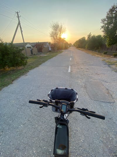 The image shows a first-person perspective of riding a bicycle down a rural road at sunset. The road is paved with asphalt, cracked in places, and has a white dashed line down the center. The sun is low in the sky, casting a warm glow and lens flare. On the left side of the road, there is a utility pole with several wires stretching across the sky, and further down, some houses with fences and trees. On the right side, there are more trees and a decorative concrete fence. The bicycle has a basket with a dark gray liner mounted on the handlebars, and a small digital display. The overall scene suggests a peaceful ride through a village or rural area.