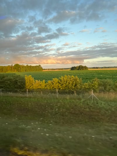 This image depicts a rural landscape under a cloudy sky, possibly taken from a moving vehicle given the motion blur in the foreground. In the mid-ground, a vibrant green field stretches horizontally, dotted with small bushes and a distant copse of trees. A row of lush, green trees forms a dense line across the left side of the frame, with a section of lighter green, more feathery trees in front of them, illuminated by sunlight. A wire fence runs across the foreground, separating the field from the blurry lower portion of the image which is mostly green with patches of yellow. The sky is a mixture of blue and grey clouds, with hints of pink and orange light suggesting either sunrise or sunset. The overall impression is one of agricultural land under dramatic atmospheric conditions. The mention of Mozów, Poland, places this scene in a specific geographical context, implying the landscape is typical of the Polish countryside.
