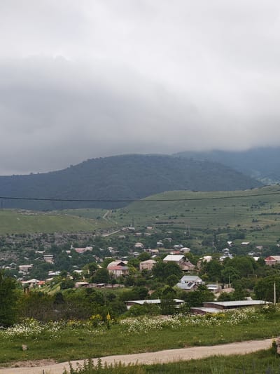 The image depicts a rural village nestled in a valley, with rolling green hills and a large, forested mountain range in the background. The sky is overcast with dense clouds, casting a soft, diffused light over the scene. The village consists of numerous residential buildings, varying in size and architectural style, scattered amidst lush greenery and trees. Some houses have red or grey roofs, while others appear to be unfinished or under construction. A dirt road winds through the village, and power lines are visible stretching across the landscape. In the foreground, a patch of wild flowers, predominantly white daisies, blooms in a grassy area. The overall impression is one of a peaceful, somewhat undeveloped, mountainous region. The location is identified as the city of Gugark, Armenia.