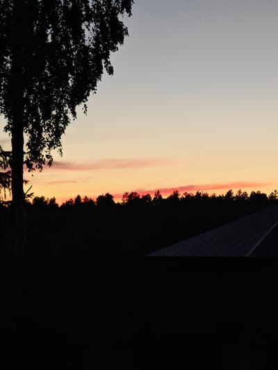 A silhouetted tree stands on the left side of the frame against a gradient sky transitioning from pale blue to a soft orange and pink hue, indicative of a sunset or sunrise. A dark, horizontal line of trees forms the horizon, with the tops of the trees appearing pointed. A paved surface, possibly a road or walkway, runs diagonally from the bottom right corner towards the horizon. The foreground is almost entirely black, obscuring any details. The image appears to be taken outdoors in Markova, Russia.