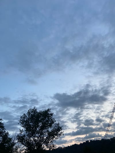 The image depicts a natural landscape, likely in a rural or forested area, under a cloudy sky. Silhouetted trees and a dark treeline against the horizon dominate the lower portion of the frame. The sky is filled with a mix of light and dark gray clouds, with patches of lighter blue sky visible. There are no people, buildings, or specific landmarks identifiable in the image. The scene suggests either early morning or late evening due to the soft, diffused light and the muted colors. The mention of Lipniki, Russia, is not supported by any visual evidence in the photograph.