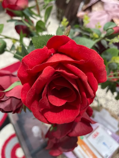 This media file features a close-up of a bright red artificial rose, its velvety petals unfurling in the center. The rose is part of a bouquet with other red and pink roses and green foliage, some of which are blurred in the background. To the right of the rose, there are out-of-focus objects that appear to be packaged items, possibly toiletries, with some text visible. The packaging has white, purple, and orange elements, and one item shows a blue toothbrush. A red and white circular pattern is visible at the bottom right of the image. The lighting suggests daytime, and the overall impression is a still life arrangement. The location context is Bandarbireuen, Indonesia, but there are no specific visual cues in the image to confirm this.