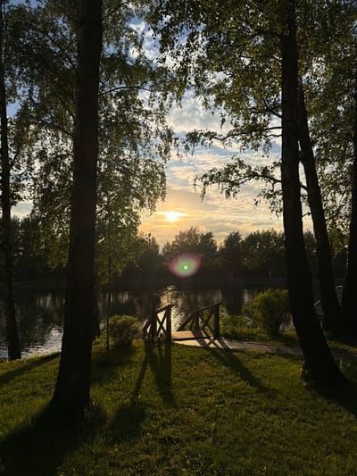 Captured from a ground-level, upward perspective, the image shows a landscape in Polivanovo, Russia, during what appears to be sunset. Two prominent tree trunks frame the central view, with dense foliage partially obscuring the sky, which is scattered with white clouds. The sun is positioned near the horizon, emitting a strong glare. Below the trees, a body of water, possibly a lake or pond, reflects the surrounding trees and sky. A small wooden pier extends into the water, situated near a grassy bank.