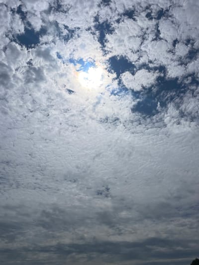 The image depicts a sky filled with a mix of white and gray clouds. The sun is partially visible through the clouds, creating a bright, diffused light source. The clouds are varied in texture and density, with some appearing fluffy and light, while others are darker and more ominous. Patches of blue sky can be seen peeking through the cloud cover. The image appears to be taken from a ground-level perspective, looking upwards at the sky. There are no people, animals, buildings, or any other recognizable objects or structures visible in the frame. The scene suggests an outdoor environment, likely in a location where the sky is open and visible, such as a park or a field. The time of day is difficult to ascertain precisely, but the presence of the sun indicates it is daytime. The specific location in the city of Diepenbeek, Belgium, cannot be determined from the visual information provided in the image.