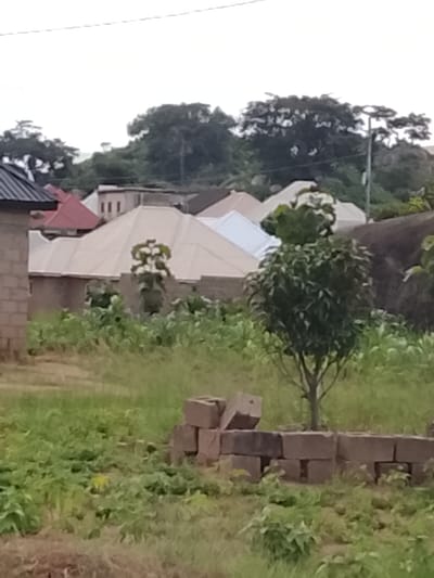 The image depicts a partially obscured view of a residential area in Barakin Acha, Nigeria, under an overcast sky. In the foreground, a pile of reddish-brown bricks lies on a patch of dry grass. To the right of the bricks, a young, leafy tree stands amidst tall green grass. Behind the tree and bricks, several structures with light-colored, peaked roofs are visible. One of these buildings has a red roof. To the far left, a portion of a building constructed with grey bricks is seen. In the background, dense green foliage and trees form a natural backdrop, with a faint suggestion of power lines or cables overhead. The scene appears to be a daytime setting, with diffused natural light.