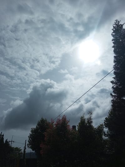 A bright sun fights its way through a cloudy sky, casting a hazy glow. A single, taut power line cuts diagonally across the frame. In the lower portion, a mixture of green and reddish-leaved trees obscures the horizon. A hint of a building structure peeks through the vegetation. The overall impression is one of unsettled weather and obscured visibility.