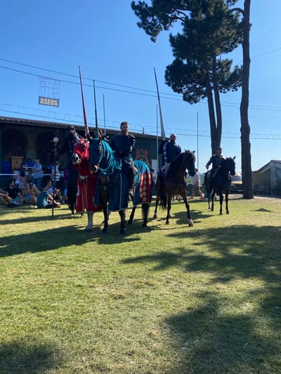 Four men on horseback, dressed in medieval-style armor and costumes, are lined up in a grassy field. The horses are also adorned with colorful caparisons. The men are holding lances. In the background, there is a crowd of spectators sitting and standing, and a building with a sign displaying the word "ASEOS." Trees are visible in the background, as well as a clear blue sky. The scene appears to be a historical reenactment or jousting event. The location is the Municipal Sports Complex of Llanera, Spain.