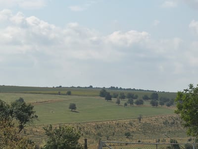 The image shows a panoramic view of a rural landscape in the city of Prosena, Bulgaria, under a partly cloudy sky. The terrain is characterized by rolling hills covered in various shades of green fields and some areas of dry, yellowed grass. Several scattered trees, mostly deciduous, dot the landscape, casting shadows on the ground. In the distance, a patch of sunflowers can be seen on a higher field. A fence with metal posts runs across the foreground, partially obscuring the view of the lower part of the hills. The overall impression is one of serene, open countryside.