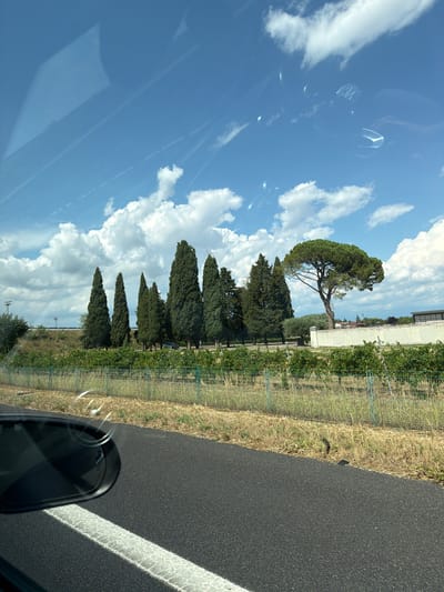 The image shows a roadside view, likely taken from a vehicle, in the vicinity of Chiasottis / Cjasotis, Italy. A dark asphalt road with a white line marking is visible in the foreground, along with the edge of a black car mirror reflecting the sky. Beyond the road, a dry, grassy embankment leads up to a fence and a vineyard. In the middle ground, a line of tall, conical cypress trees stands out against a backdrop of a bright blue sky dotted with fluffy white clouds. To the right of the cypress trees, a large, distinctive umbrella pine tree is prominent, with a low, cream-colored wall behind it. A few distant buildings and structures are visible behind the trees and wall. The overall scene depicts a rural or semi-rural Italian landscape on a sunny day.