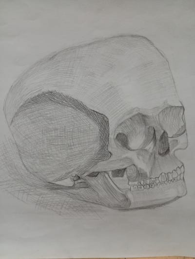 This is a pencil sketch of a human skull on plain white paper. The skull is shown in profile, facing to the right. The drawing is done with a cross-hatching technique to create shading and form. The cranium is large and rounded, with visible lines indicating the suture lines. The facial features, including the eye sockets, nasal cavity, and teeth, are clearly rendered. The lower jaw is slightly parted, revealing the teeth. The skull is placed on a flat surface, and some faint shadow lines are drawn underneath to suggest it is resting on something. The background is plain white paper. There are no people, actions, or interactions depicted. The sketch is located in the city of Seýdi, Turkmenistan.
