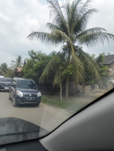The image shows a street scene in Teupinreudeup, Indonesia. A black Suzuki Wagon R is parked on the right side of a dirt road, with its license plate visible as "BL 1770 JP". Behind it, another black SUV, possibly a Toyota Innova, is also parked on the road with its license plate "B 1192 POG" visible. A large coconut tree with several coconuts is prominent in the foreground, with its fronds partially obscuring the sky. To the right of the coconut tree, a two-story building with a dark roof is visible. Other vegetation, including smaller trees and bushes, is scattered throughout the scene. The sky is overcast with clouds. The photo is taken from inside a vehicle, with the dashboard and windshield frame visible in the lower part of the image, creating a slightly obstructed view.