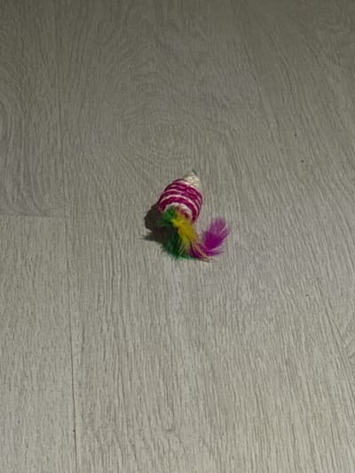 A toy mouse with pink and white stripes and a colorful feather tail lies on a light-colored wooden floor. The toy is approximately 2 inches long and is positioned diagonally on the floor, with its tail pointing towards the right. The floorboards run horizontally across the image. The image is well-lit, with a shadow cast by the toy to its right. The scene appears to be an indoor setting, likely a home. There are no people or other objects visible in the frame. There is no information about the location in Podkletnoe, Russia, as this is a generic toy and floor setting.