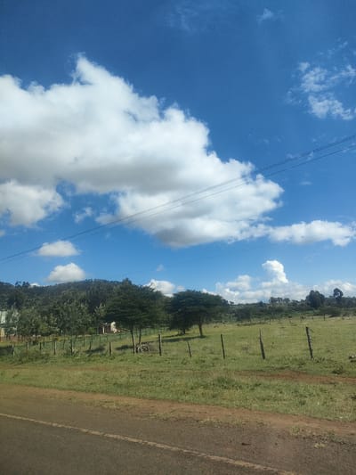 The image depicts a rural scene in Kibirichia ward, Kenya. A green field stretches across the foreground, marked by a sparse wooden fence. Several trees are scattered throughout the field. A road runs along the bottom edge of the image. Beyond the field, a wooded area rises towards a low hill. The sky is blue with scattered white clouds. Overhead are electrical wires. There are no people visible in the image.