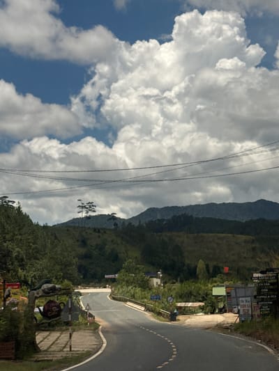 The image depicts a winding asphalt road with yellow dashed lines, curving through a hilly, forested landscape under a bright, cloudy sky. On the left side of the road, there is a roadside stand with a red kettle-shaped sign and an advertisement for "CAFE". Further along the road, on the right, a cluster of buildings and signs suggests a small commercial area. One sign lists "COFFEE & TEA" and "SOUVENIRS", indicating it's a place for travelers. The background is dominated by lush green hills and mountains, with several distinct trees on a ridge in the middle ground. The sky is filled with large, fluffy white clouds against a blue backdrop. The overall impression is a scenic view of a rural area in Vietnam, possibly along a popular route. There are no visible people in the frame.