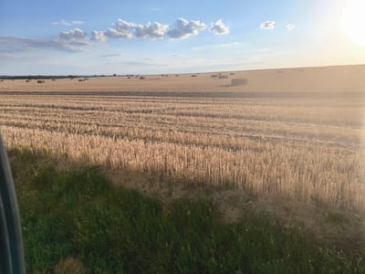 The image shows a harvested field with round hay bales scattered across it under a partly cloudy blue sky. The sun is setting or rising, casting a warm glow over the scene. In the foreground, there is a strip of green grass and some dry vegetation. The field is located in or around the village of Vyšné Nemecké, Slovakia, likely during the harvest season.