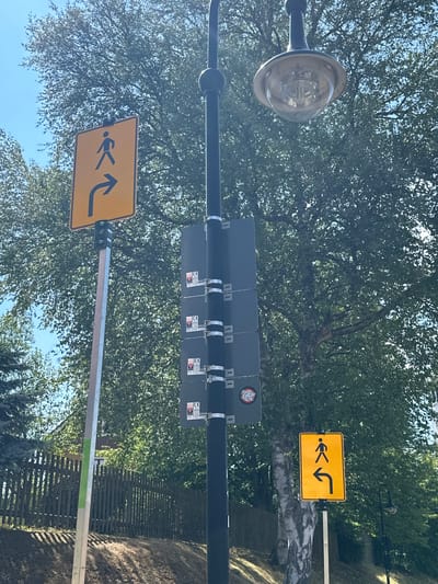 A yellow diamond-shaped road sign with a black pedestrian symbol and a black arrow pointing to the right is mounted on a metal pole. Another identical sign, with the arrow pointing left, is mounted on a separate pole. Both signs are positioned against a backdrop of green trees and a blue sky. The pole on the left has some smaller black boxes attached, with "CE 2024" printed on them. A lamppost with a glass enclosure is visible in the upper right of the image. The ground in the foreground appears to be sloped and covered with dry grass and dirt, with shadows cast by the trees. A wooden fence runs horizontally in the midground. The scene is outdoors in what appears to be a natural or semi-natural setting within the city of Titisee-Neustadt, Germany. There are no people visibly present in the scene.