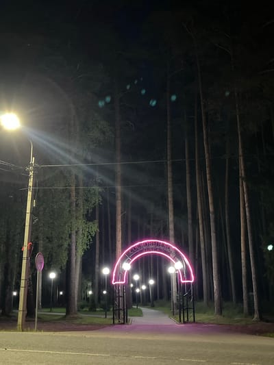 The image depicts an outdoor scene at night in the city of Nikolskoye, Russia. In the foreground, a paved surface transitions into a pathway. To the left, a street lamp with a bright white light illuminates the area, casting beams of light. Adjacent to the lamp post is a circular red sign and a smaller pink circular sign.
The main focal point of the image is a large, arched gateway illuminated by bright pink neon lights. The archway is framed by tall, slender trees with dark foliage, creating a backdrop of a forest. Several smaller, spherical lamps are placed along the pathway leading through the archway, also emitting white light. The ground beneath the archway and extending onto the pathway is illuminated by the pink neon glow.
The overall environment suggests a park or a recreational area, likely a public space within Nikolskoye, designed for evening ambiance with its illuminated archway and pathway lighting. The tall trees indicate a natural setting within or on the edge of the city.