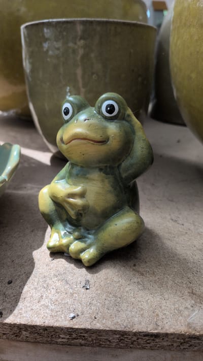 This is a close-up, eye-level, outdoor shot of a green ceramic frog statue sitting on a rough, light-brown surface. The frog is in a seated position, with its hands clasped in front of it and its head tilted slightly to its right. It has large, round, white eyes with black pupils, and a small, reddish mouth. Behind the frog, out of focus, are large, dull green ceramic pots. The surface the frog is sitting on appears to be a wooden plank or shelf, with some small debris scattered on it. The lighting suggests a sunny day, casting a shadow of the frog onto the surface. There is no indication of the specific location within Sömmerda, Germany, but the scene suggests an outdoor garden or pottery display.