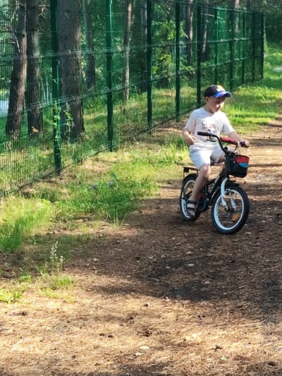 A young boy, wearing a baseball cap, a t-shirt, and shorts, is riding a bicycle. The bicycle has a basket on the front with some items in it. The boy is on a dirt path, which is covered with pine needles and fallen leaves, in a wooded area. Behind him, a green metal fence runs horizontally across the image, with tall trees visible behind it. The grass on the left side of the path is green and lush. The scene appears to be a park or a recreational area. The lighting suggests it is daytime, with sunlight filtering through the trees and casting shadows on the path. The overall mood is peaceful and active, with the boy enjoying a ride outdoors. No visible text is discernible in the image.