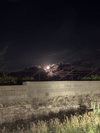 The media file shows a night scene, rotated for vertical display. The left side of the image is dominated by a dark night sky with some scattered clouds. In the center, a bright, full moon is partially obscured by clouds, emitting a soft glow. A wooden trellis or scaffolding structure is visible in front of the sky, with some green foliage clinging to it.
To the right of the sky, a stone wall is constructed from rectangular blocks, leading down to a section of rougher, natural stone paving. The stone wall is illuminated, casting shadows on the ground. To the far right, tall, dry grass or reeds are illuminated by a light source, appearing golden in the light. The overall impression is a serene, possibly rural or garden setting at night, with the moon as the primary light source in the sky. The location context suggests this scene is in Subutli-Miatli, Russia.