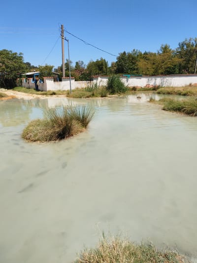 The image shows a body of milky-colored water, possibly a hot spring or mineral pool, in the city of General Todorov, Bulgaria. A small island of dry grass and reeds rises from the center of the water. The background features a low white wall with red-tiled trim, partially obscured by vegetation. A person wearing blue jeans and a light-colored bag is visible standing near a building behind the wall. A wooden utility pole with electrical wires stretches across the frame, against a clear blue sky. The water's surface is disturbed in places, with some darker shapes, potentially fish, visible beneath the surface. Dry grass and reeds line the edges of the water.
