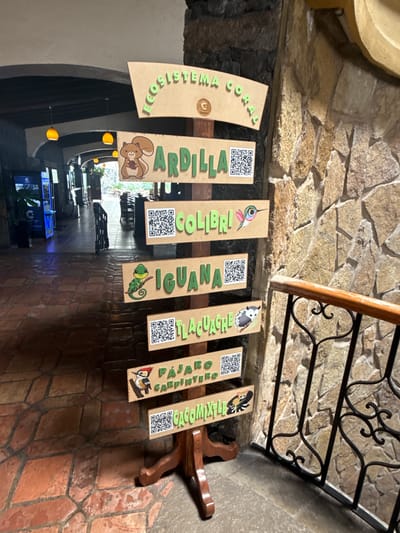 The image captures an indoor scene, likely a hallway or pathway within a building with a rustic aesthetic. The foreground is dominated by a series of seven vertical signs, seemingly made of cardboard or wood, hanging from above. These signs feature raised green lettering, colorful illustrations of animals, and black and white QR codes, suggesting an educational or informative display.
From left to right, the visible text and corresponding illustrations on the signs are:
1. "ECOSISTEMA CORAL" (Coral Ecosystem) with a small circular logo but no QR code or animal illustration.
2. "ARDILLA" (Squirrel) with an illustration of a brown squirrel holding a nut, and a QR code.
3. "COLIBRÍ" (Hummingbird) with an illustration of a colorful hummingbird, and a QR code.
4. "IGUANA" (Iguana) with an illustration of a green iguana, and a QR code.
5. "TLACUACHE" (Opossum) with an illustration of a black and white opossum, and a QR code.
6. "PÁJARO CARPINTERO" (Woodpecker) with an illustration of a woodpecker, and a QR code.
7. "CACAOMIXTLI" (Ringtail/Cacomistle) with an illustration of a striped mammal resembling a ringtail, and a QR code.
The background reveals rough-hewn stone walls on the left and a tiled floor with an irregular pattern in shades of brown and terracotta. To the right, a dark wrought iron railing with decorative scrolls and a wooden handrail ascend, hinting at a staircase or an upper level. Beyond the signs, a dimly lit area with tables, chairs, and some modern elements like blue-lit screens is visible, suggesting a restaurant, cafe, or visitor center. The lighting is warm and ambient, suggesting either artificial light or a well-lit interior during the day. The signs' content, particularly the animal names, suggests a location within Mexico, consistent with the provided "Tres de Mayo, Mexico" context. No people are visible, and no specific event is taking place, but the signs imply an activity of learning or discovery.