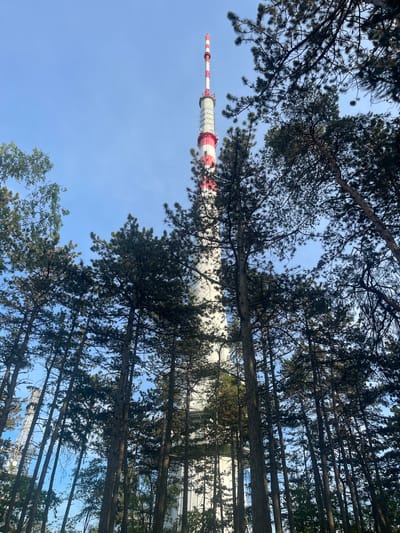 Looking upward through a dense cluster of coniferous trees, a tall, white communications tower dominates the sky. The tower features a red and white striped antenna section near the top. The sky is clear and blue. The location is in Jíloviště, Czechia.