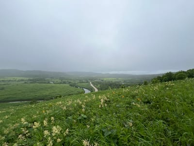 This is a landscape photograph taken from a grassy hillside overlooking a valley. The sky is overcast and hazy, obscuring the distant horizon and creating a muted, diffused light. The foreground is dominated by a lush, green meadow filled with tall grasses and wildflowers, many of which are white and cream-colored with some scattered yellow blooms.
The terrain slopes downwards from the viewer's perspective, leading to a winding dirt road that snakes through the valley. Beside the road, a narrow river or stream meanders through the green landscape. The valley floor is a patchwork of vibrant green fields and scattered clusters of trees. In the distance, rolling hills fade into the misty background, their shapes softened by the atmospheric haze. The overall impression is one of a wild, natural landscape under a somber, cloudy sky. The location is identified as Tikhoe, Russia.