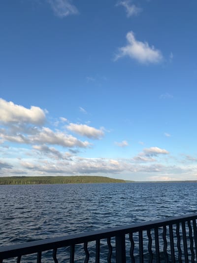 A wide shot captures a serene body of water, likely a reservoir, under a bright blue sky dotted with fluffy white clouds. The water's surface is slightly rippled, suggesting a gentle breeze. In the distance, a dense, dark green forest stretches along the horizon, creating a dramatic contrast with the sky. In the foreground, a dark, ornate metal railing runs across the bottom of the frame, providing a vantage point over the scene. This railing is likely part of a pier, promenade, or viewing deck. The overall impression is one of natural beauty and tranquility, hinting at a location like the Kama River embankment in Chaikovsky, Russia, known for its picturesque views. There are no people or animals visible in the frame.