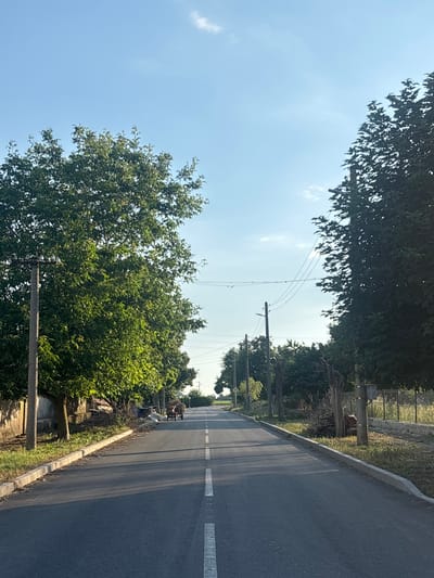 The image shows a straight, paved road in a rural setting, likely in the village of Vaklino, Bulgaria, given the context. The road is bordered by trees and vegetation on both sides. On the left side of the road, there is a concrete pole with electrical wires extending across the scene. Further down the road on the left, there appears to be a low concrete wall and some gathered debris. On the right side, there are more trees, a fence, and a concrete utility pole. In the distance, a two-wheeled cart, possibly pulled by an unseen animal or person, is visible on the road, carrying a load of what appears to be hay or straw. The sky is clear with a few wispy clouds, and the sunlight suggests it is either morning or late afternoon. The overall impression is one of a quiet, rustic road in a village.