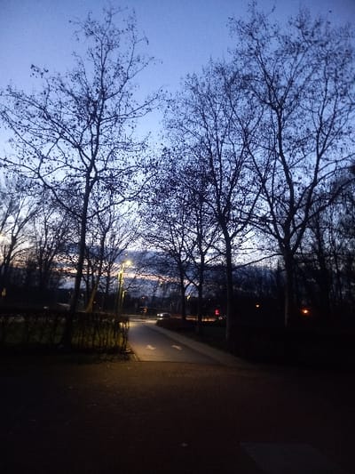 The image displays an outdoor scene at dusk or early night in Zwijndrecht, Belgium. The sky is a dark blue, transitioning to lighter hues with faint orange and pink streaks near the horizon. Numerous leafless deciduous trees, silhouetted against the sky, dominate the upper and mid-ground, their bare branches visible. A dark, low hedge is present in the lower-left quadrant. The immediate foreground features a dark, paved surface. A lighter-colored paved path, possibly asphalt or concrete, extends from the left-center towards the distant horizon, marked with two white directional arrows pointing forward. This path is illuminated by a prominent streetlamp located on the left, emitting a yellow-orange light. In the mid-ground, on a road beyond the illuminated path, faint red and white artificial lights are discernible, consistent with vehicle lights or distant street infrastructure. A light-colored vehicle with illuminated headlights is faintly visible further down this distant road. No human subjects, animals, or specific actions/interactions are present or discernible in the frame. The environment suggests a public outdoor space, likely a park or a roadside area.