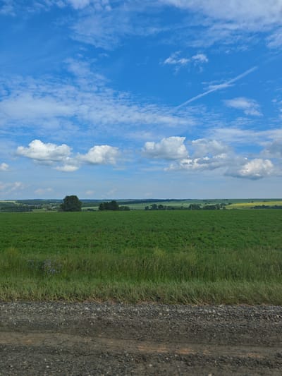 An outdoor, full-shot, vertical image shows a vast green field under a bright blue sky filled with white, puffy clouds. The field appears to be a cultivated crop, with a rich, dense green cover. In the distance, a line of trees separates the field from a hazy horizon, beyond which more rolling hills and fields can be seen. The foreground of the image is dominated by a rough, gravelly path or road. The sky is clear and vibrant, with a few wispy contrails from an aircraft visible. The overall impression is one of a serene, rural landscape. The image was taken in Alnashi, Russia.