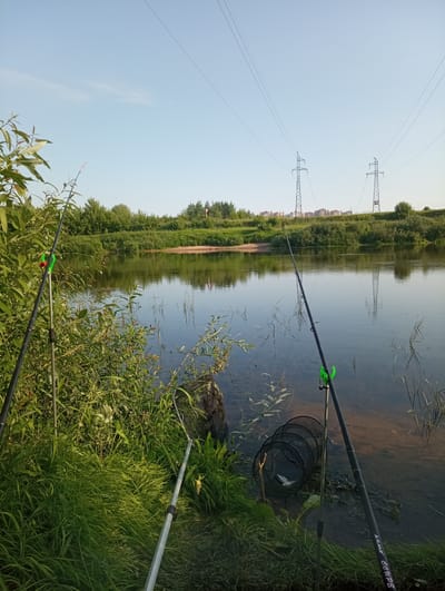 The image depicts a serene fishing scene on a calm river, likely situated near the city of Palikavichy, within the Palikavichy Village Council, Belarus. The foreground is dominated by lush green grass and foliage, with two fishing rods positioned at the water's edge. One rod is angled towards the left, its tip barely visible among the leaves, while another, more prominent rod, is set in a green holder and extends out over the water.
Adjacent to the second fishing rod is a black fishing net, partially submerged, containing at least one fish. The river itself is clear, reflecting the bright blue sky and the surrounding trees and vegetation. In the background, a line of trees forms the opposite bank, with a sandy patch visible on the shore. Further in the distance, the landscape is punctuated by two large electricity pylons, with a row of buildings, suggesting proximity to an urban or suburban area. The overall atmosphere is tranquil and suggestive of an early morning or late afternoon fishing expedition.