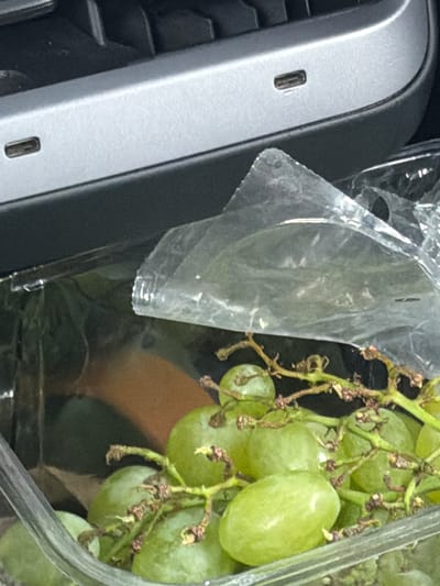 A bunch of green grapes in a plastic container is resting on a gray surface. The grapes appear to be seedless and are attached to a vine. The container has a clear plastic lid that is partially covering the grapes, creating a translucent effect. The background is dark and out of focus. The gray surface has a textured appearance and features two small, rectangular slots. The location is Väröbacka, Sweden, and the scene appears to be indoors, possibly in a vehicle or on a desk. There are no people or animals visible in the image. The lighting is soft and diffused, suggesting an ambient indoor light source. The overall impression is one of a simple still life, with the focus on the grapes and their packaging.