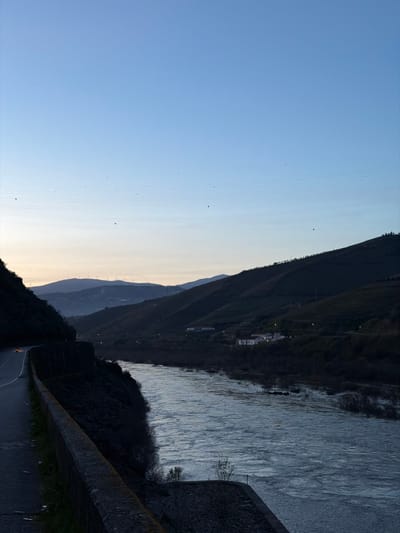 This image depicts a river valley scene in the Lamego region of Portugal at dusk or dawn. The sky transitions from light blue at the zenith to a pale orange-yellow gradient near the horizon, populated by numerous small, dark, airborne specks, possibly birds or insects, and multiple horizontal power lines equipped with spherical markers.

In the left foreground, an asphalt road curves along a dark, elevated bank, separated from the water by a low, weathered stone or concrete barrier. A single vehicle, identifiable by its illuminated headlight, is visible on the road, traveling away from the viewer.

The foreground opens to a wide river, likely the Douro, flowing from left to right. Its surface is textured with visible ripples and currents, reflecting ambient light with a silvery sheen. The riverbanks are dark, appearing vegetated.

On the opposite (right) bank, gently sloping hills rise, their lower sections dotted with white-colored residential or agricultural buildings, some displaying illuminated windows or exterior lights. Further up the slopes, dark, possibly terraced, vegetation dominates. In the distant background, along a prominent ridge to the left, several wind turbines are discernible against the horizon, their structures silhouetted. The overall topography consists of undulating, tree-lined hillsides framing the river valley.