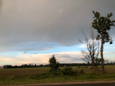 This media file captures a rural landscape under a dramatic sky. The scene is set in Innisfil, Canada, and depicts an expansive field with a line of trees forming the horizon. The time of day appears to be late afternoon or early evening, as indicated by the soft, diffused light and the pastel colors in the sky, ranging from pale blue to warm pinks and grays. The weather seems to be transitioning, with heavy, dark clouds dominating the upper half of the frame, suggesting an approaching storm, while patches of lighter sky and soft clouds break through lower down.

The foreground shows a grassy verge and a road, implying the vantage point is from a vehicle in motion, as evidenced by the slight blur in the foliage and trees. Several trees are prominent in the mid-ground and right side of the image; one is a tall, full-foliaged evergreen, while others are more sparse and bare, perhaps dead or deciduous trees preparing for or having shed their leaves. In the distance, a small cluster of buildings or structures can be faintly seen amongst the trees. To the far left, a billboard is partially visible with the word "SUZUKI" clearly legible, along with "SPEED" underneath it, indicating a commercial advertisement.

The overall mood is serene yet somewhat imposing due to the ominous clouds. The natural beauty of the field and sky is contrasted with the man-made element of the billboard. There are no people or specific activities depicted, but the scene conveys a sense of quiet observation of the changing weather and the vastness of the rural setting.