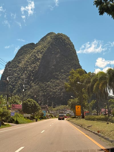 This is a photograph of a scenic road in Phang-nga, Thailand. The image is oriented vertically, with the road running diagonally from the bottom right to the top left of the frame. To the left of the road is a large, lush green mountain covered in dense vegetation. The sky is a clear blue with a few scattered white clouds.

Along the right side of the road, there is a grassy verge with a low barrier made of rope and posts. Several signs are visible on this side, including one in yellow with black text and symbols indicating a sharp curve and to reduce speed, with English text also present. Further down the road, more signs are visible, some appearing to be advertisements or directional signs.

On the left side of the road, at the base of the mountain, there are some buildings and power lines. Palm trees and other tropical foliage are interspersed throughout the scene, suggesting a warm climate. The lighting indicates it is daytime, likely mid-morning or afternoon, with sunlight casting shadows. There are a few vehicles visible on the road, including a truck in the distance. The overall impression is of a beautiful, tropical landscape with a road winding through it. Some visible text includes "DG", "Rock Mountain", "บริการห้องพัก", "สนง พาเอยจังหวัดพังงา", "โค้งอันตราย", "ลดความเร็ว", "SHARP CURVE", and "REDUCE SPEED".