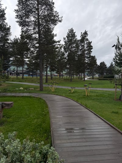 The image displays an overcast daytime scene in a park or recreational area, consistent with the location of Vinstra, Norway. The weather appears cool and damp, with the sky completely covered by light grey clouds.
A wide, curved wooden walkway, made of dark, vertically-oriented planks, dominates the right side of the foreground and midground. The surface of the walkway appears wet in places, suggesting recent rainfall. To its left, a large expanse of vibrant green grass stretches across the ground.
A narrower, lighter-colored paved path winds through the grass. Alongside this path are several pieces of outdoor exercise equipment, distinguished by bright yellow frames and black seating or footrests. Numerous tall, dark pine trees are scattered throughout the scene, particularly along the left side, extending from the foreground into the background, their dark foliage contrasting with the light sky. A dark bird, possibly a crow, is visible perched on a pine branch in the upper left quadrant, silhouetted against the clouds.
In the background, partially obscured by trees, several buildings of varying sizes and architectural styles are visible, suggesting a nearby town or residential area. Faint, partial text, possibly "sen," can be seen on one of these distant structures. A bush with silvery-green leaves occupies the lower right foreground, and a carved wooden post is also visible at the very bottom right. No human activity is depicted, contributing to a tranquil and serene atmosphere.