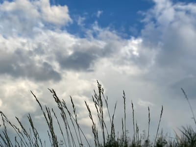 The image depicts a low-angle view of tall, thin blades of grass silhouetted against a cloudy blue sky. The grass stalks are in sharp focus in the foreground, with their fine details visible as they sway gently. The sky above is a mix of bright blue and white, with large, puffy clouds that suggest an overcast or dynamic weather condition. In the far right of the image, a faint, small rainbow arc is visible low on the horizon, partially obscured by distant foliage. The location is identified as Абзаново, Russia.