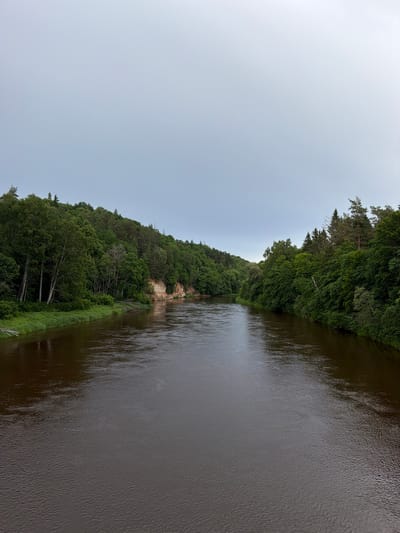 The image shows a wide, dark-brown river flowing through a forested valley under a cloudy sky. The riverbanks are lined with lush green trees, with some exposed sandstone cliffs visible on the left bank. The river appears calm, with gentle ripples on its surface. The scene conveys a sense of natural beauty and tranquility. This vista is likely the Gauja River as it flows through the Gauja National Park near Sigulda, Latvia, a region known for its picturesque landscapes and sandstone formations.
