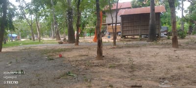The image shows an outdoor scene in Thmar Puok, Cambodia. The foreground is a dirt and gravel area with scattered leaves and debris. A small red ball is visible on the ground to the left. In the mid-ground, there are several trees, including a prominent palm tree and others with rough bark. An orange cloth or fabric is draped over a tree branch on the left side of the frame, and a similar piece of fabric hangs from a structure on the right.

Behind the trees, there is a rustic wooden structure with a corrugated metal roof. This building appears to be elevated in parts and has open sections with visible wooden slats. Some people, dressed in what appear to be blue garments, are partially visible near this structure, possibly engaged in some activity. In the background, more trees and vegetation are visible, suggesting a semi-rural or park-like setting. The overall lighting suggests it is daytime. A watermark with "2026/06/18 09:13" and "TECNO" is present in the lower left corner.