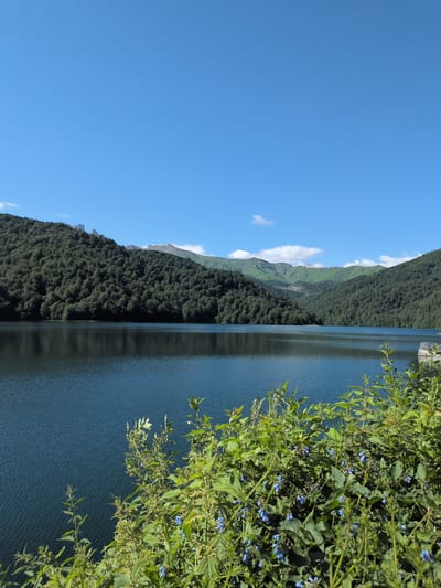 The image depicts a panoramic view of a large, calm lake in a mountainous, forested region. The sky is a clear, bright blue with a few wispy white clouds. Lush, dense green trees cover the slopes of the surrounding mountains, creating a dark, verdant backdrop. The water of the lake is dark blue and reflects the sky and the trees with a subtle shimmer. In the foreground, on the right side of the frame, is a cluster of vibrant green foliage with small blue flowers, adding a touch of color to the scene. In the distance, the peaks of the mountains are visible, some with patches of green and others appearing rocky. On the far right, a small section of a man-made structure, possibly a pier or a dam, is visible at the edge of the lake. The overall impression is one of natural beauty and tranquility. This scene is consistent with the natural landscapes found around Toğanalı, Azerbaijan, which is known for its mountainous terrain and bodies of water surrounded by forests.