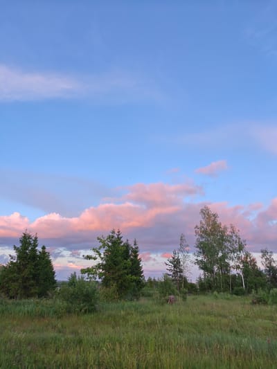 The image depicts a landscape scene with a focus on the sky and trees. The sky is a clear blue, transitioning to lighter hues near the horizon. There are scattered clouds, some of which are tinged with pink, suggesting the time of day is either sunrise or sunset.

A line of trees forms the lower portion of the image, creating a natural horizon. These trees appear to be a mix of evergreen and deciduous varieties. Some are tall and slender, while others are more full-bodied. In the foreground, a field of tall green grass with some wildflowers is visible, indicating a natural or rural environment. There are no people or animals in the image, and no specific man-made structures are prominently featured. The overall impression is one of a tranquil, natural landscape at twilight.

The context provided about Spas-Demensk, Russia, places this scene within a geographical location known for its natural beauty, which is consistent with the visual elements presented in the photograph.