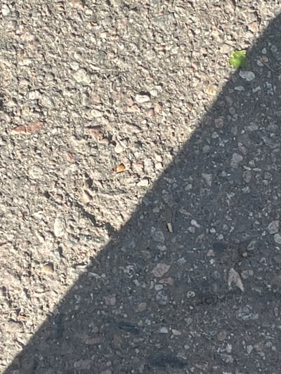 The image shows a close-up, overhead view of asphalt. A diagonal shadow cuts across the asphalt, dividing it into a lighter, sunlit area and a darker, shaded area. In the sunlit portion, a small, bright green leaf is visible on the ground. The asphalt itself is composed of small, rough grey and white stones embedded in a darker grey matrix. The texture of the asphalt is coarse and uneven. There are no people or animals visible in the image. The scene appears to be an outdoor setting, possibly a street or pathway, given the presence of asphalt. The lighting suggests it is daytime, with the shadow indicating a specific time of day, likely mid-morning or afternoon, depending on the orientation. There are no discernible location cues beyond the general surface type. No text is visible.