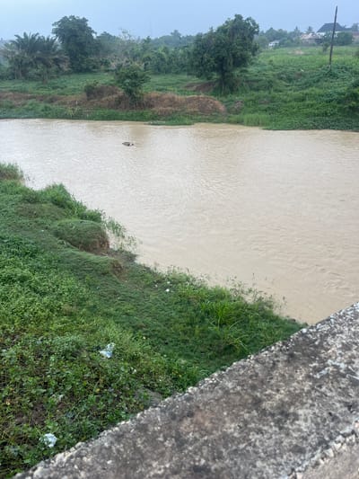 The image shows a murky, brown river flowing through Offatedo, Nigeria, as viewed from a bridge. The river is bordered by green vegetation. A concrete bridge edge is visible in the foreground. Trash is visible in the grass along the edge of the river. There is a dark object floating in the river. In the background, trees and buildings are visible. The sky appears overcast.