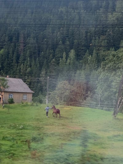 The image presents an outdoor scene located in Vorokhta, Ukraine. A sloping green grassy field occupies the lower two-thirds of the frame. In the midground on the left, a light-colored, single-story house with a prominent grey corrugated roof and multiple windows is visible. To the right of the house, within the grassy field, a single individual wearing a plaid shirt and dark pants is depicted walking alongside a brown horse. The person's left arm is extended towards the horse, suggesting an interaction of guidance or leading. Overhead, multiple dark utility lines stretch horizontally across the upper mid-section of the image, supported by a thin utility pole near the house and a larger wooden utility structure partially visible on the far right. The background consists of a dense, dark green forest covering a mountainous terrain, extending from the midground upwards.
