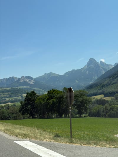 This is a vertical, wide-angle photograph of a mountainous landscape in Vinzier, France. The scene features a paved road with a white line on the right side, a grassy field with scattered yellow flowers, and a dense forest with lush green trees. In the background, majestic mountains with rocky outcrops and forested slopes rise against a clear blue sky. The sun appears to be high, suggesting it is daytime, likely late morning or early afternoon. The weather is fair with no visible clouds apart from a few wisps near the mountain peaks. There is no apparent activity or event taking place; the image captures a serene natural setting. A metallic, hexagonal sign on a pole is positioned in the foreground, partly obscured by trees, reflecting the light and the surrounding greenery. The overall impression is one of natural beauty and tranquility.