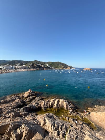 This is a vertical, high-angle, medium shot of a rocky coastline overlooking a crowded beach and the Mediterranean Sea. The sky is a clear, vibrant blue, suggesting a sunny day with good weather, likely mid-day given the strong shadows cast on the rocks. The scene is Tossa de Mar, Spain, as indicated by the location context.
The foreground is dominated by rugged, sun-drenched rock formations, textured with crevices and patches of green algae near the waterline. Several people are visible on the rocks, some sitting and observing, others appearing to be sunbathing or resting. One person is seen near the edge, looking out at the water.
Below the rocks, the deep blue sea stretches out, dotted with numerous small boats anchored offshore and a few yellow buoys. Further in the distance, a long, crescent-shaped beach is packed with sunbathers. Buildings and hotels are nestled into the green, forested hillside that slopes down towards the beach, creating a picturesque coastal town setting. The overall mood is one of a bustling summer vacation day, with clear skies and plenty of activity both on the beach and in the water. There is no visible text in the image.