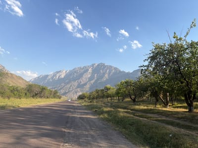 This is a wide-angle, eye-level outdoor shot capturing a scenic road leading through a valley towards majestic mountains. The road, paved and dark, dominates the foreground, casting long shadows from unseen trees. To the right of the road is a grassy field interspersed with young trees, some with their trunks painted white at the base, suggesting an orchard or cultivated area. Further into the scene, a line of larger, leafy trees forms a dense green border.
In the distance, a range of imposing, rocky mountains rises against a clear blue sky dotted with scattered white clouds. The mountains appear rugged and sun-drenched, with visible geological features.
Two white cars are visible on the road in the middle distance, traveling away from the viewer, indicating the road is in use. The scene evokes a sense of peaceful travel and natural beauty. The lighting suggests it is daytime, likely late afternoon, given the long shadows. The location is Brichmulla, Uzbekistan, which is known for its mountainous terrain and natural landscapes. There is no visible text in the image.
